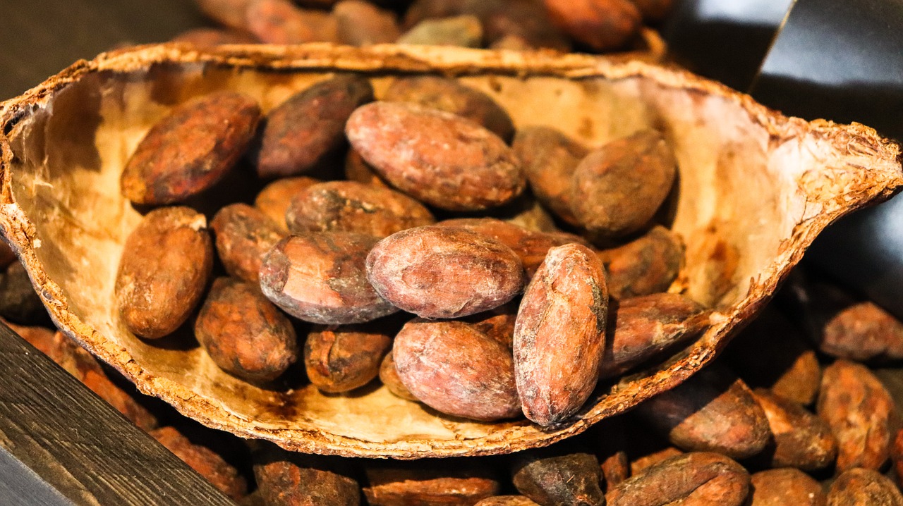 plod kakaovníku